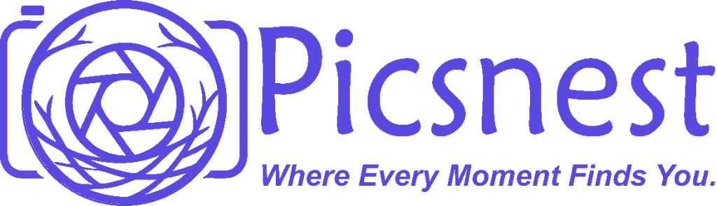 PicsNest Logo